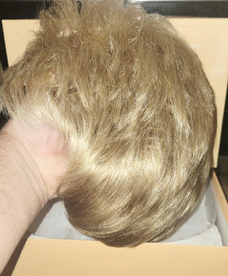 20260328_154815.jpg