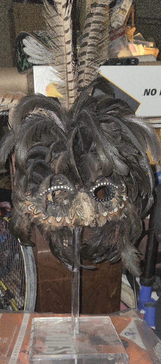 20260329_050007.jpg