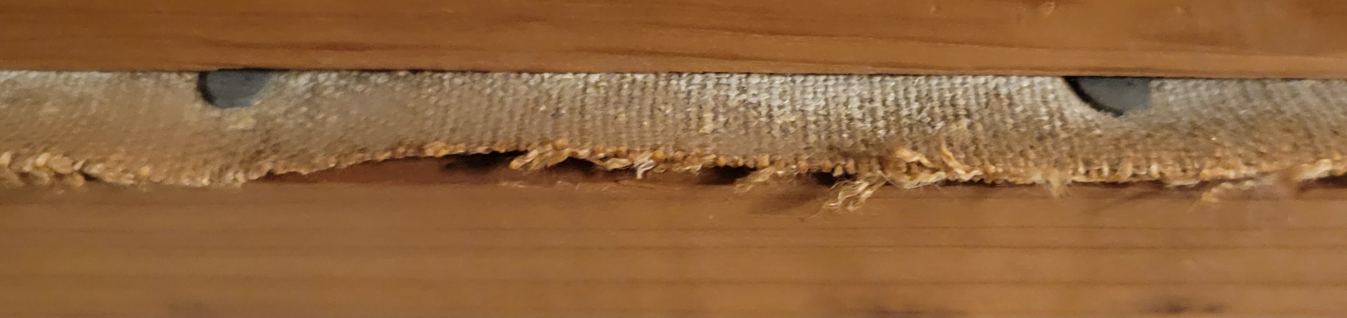 20260430_203659.jpg