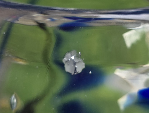 20260527_163103.jpg