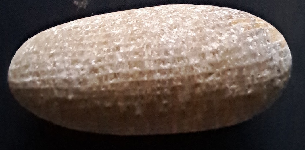 20260625_183124.jpg