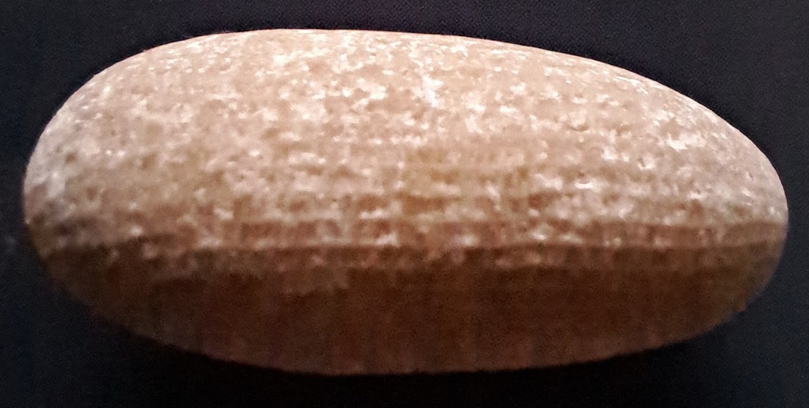 20260625_183148.jpg