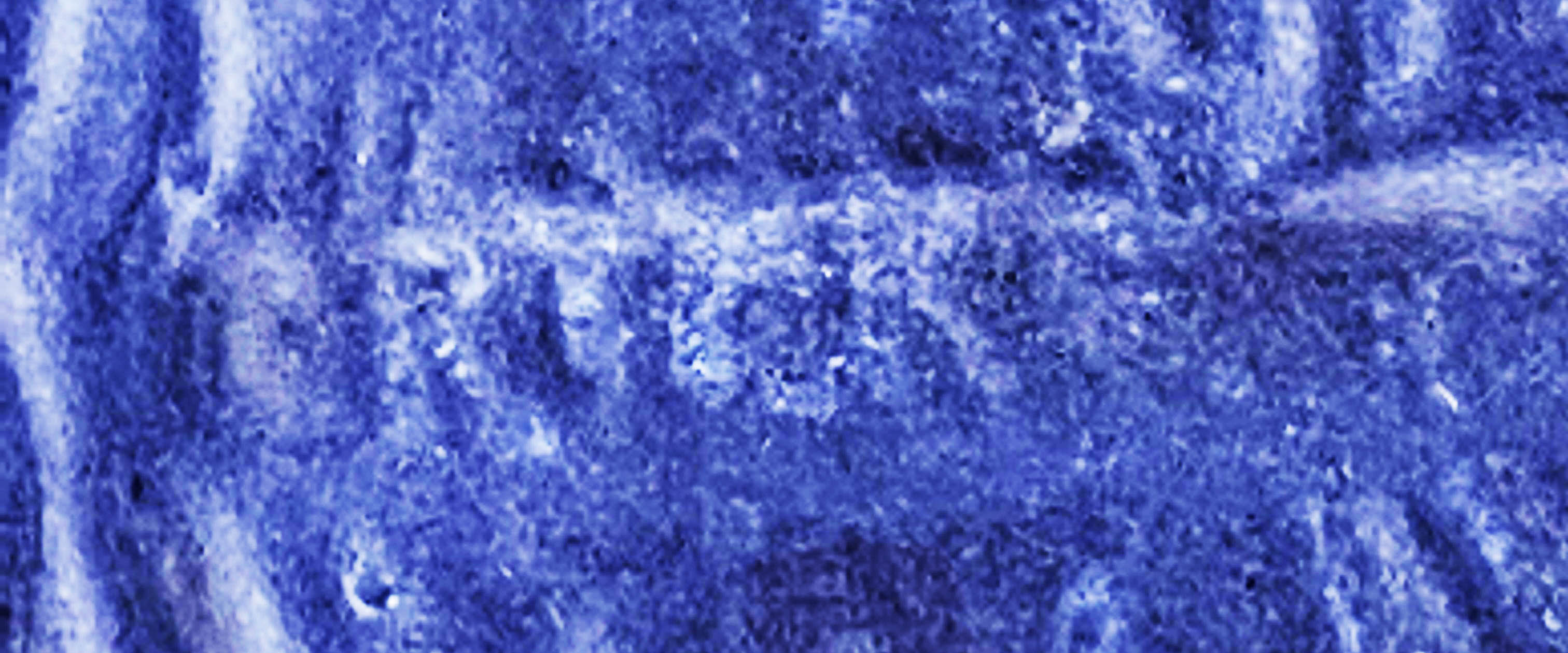 2F91F970-2CCA-43DA.jpg