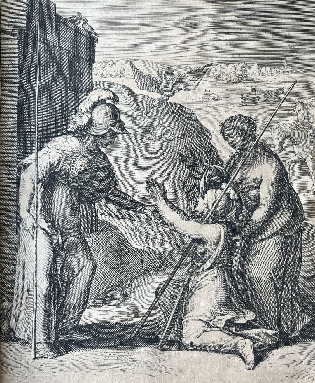 3. NATVRAM MINERVA PERFICIT.JPG