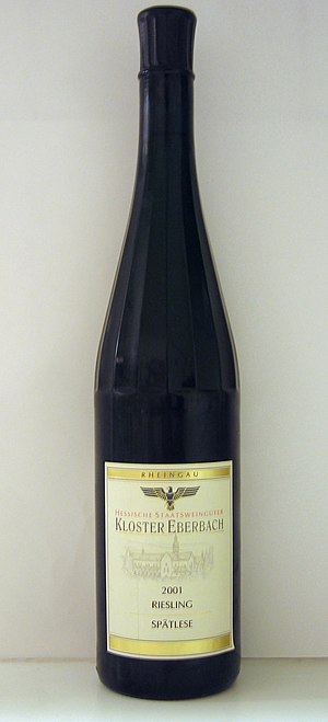 300px-Rheingaufloete.jpg