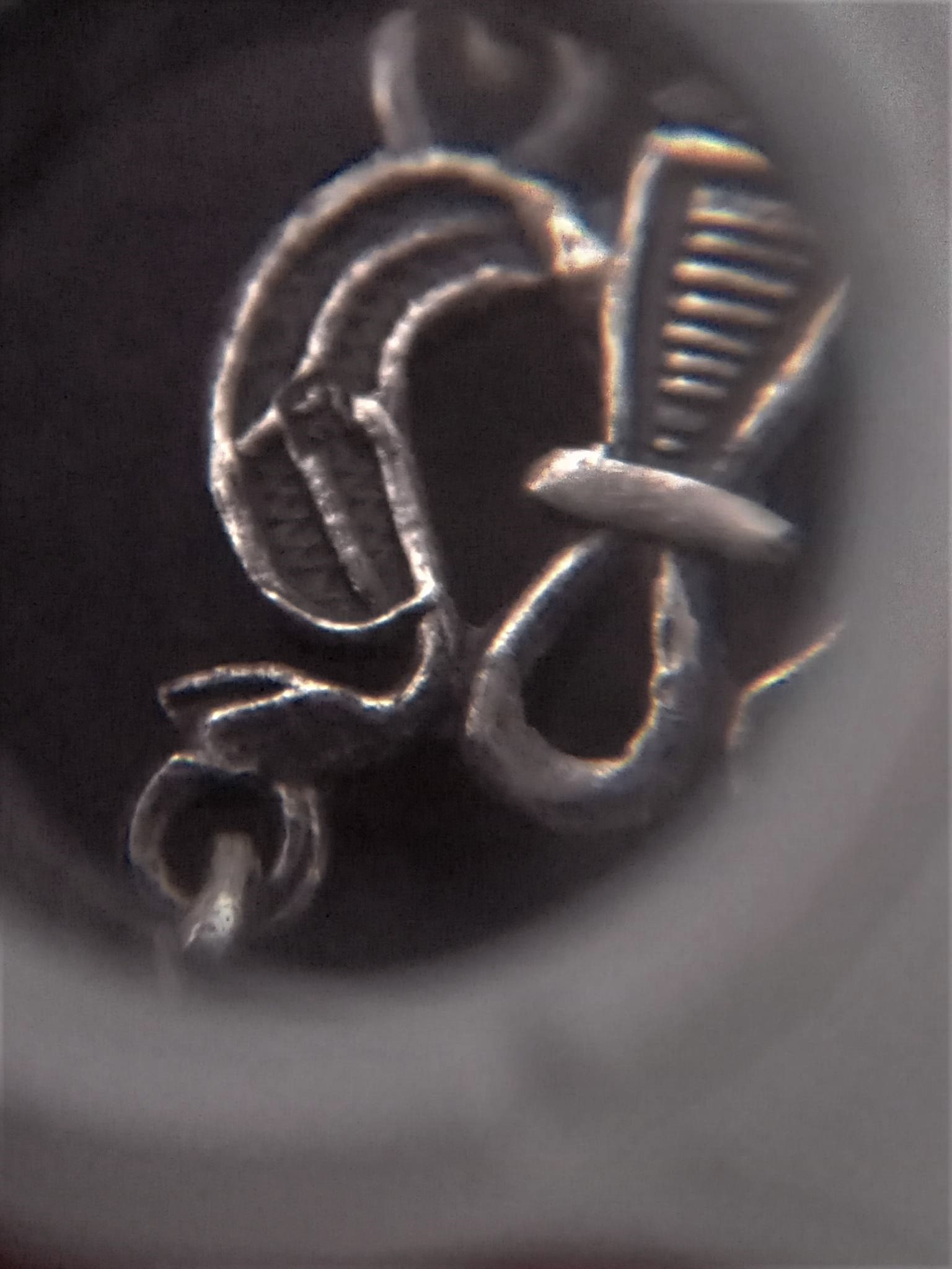 320913292_710923294093660_9090114992400113614_n.jpg