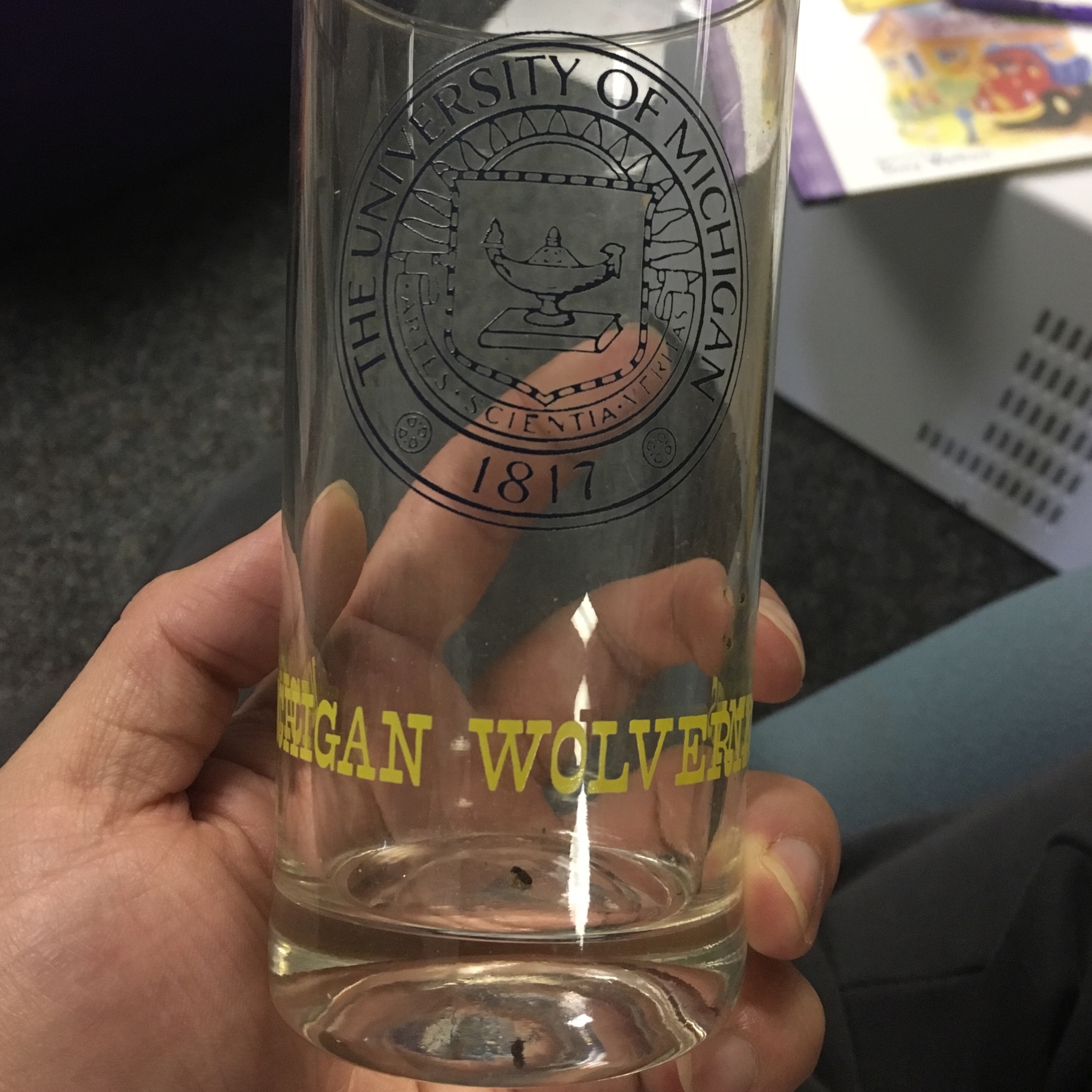 University of Michigan seal football drinking glass age? Antiques Board