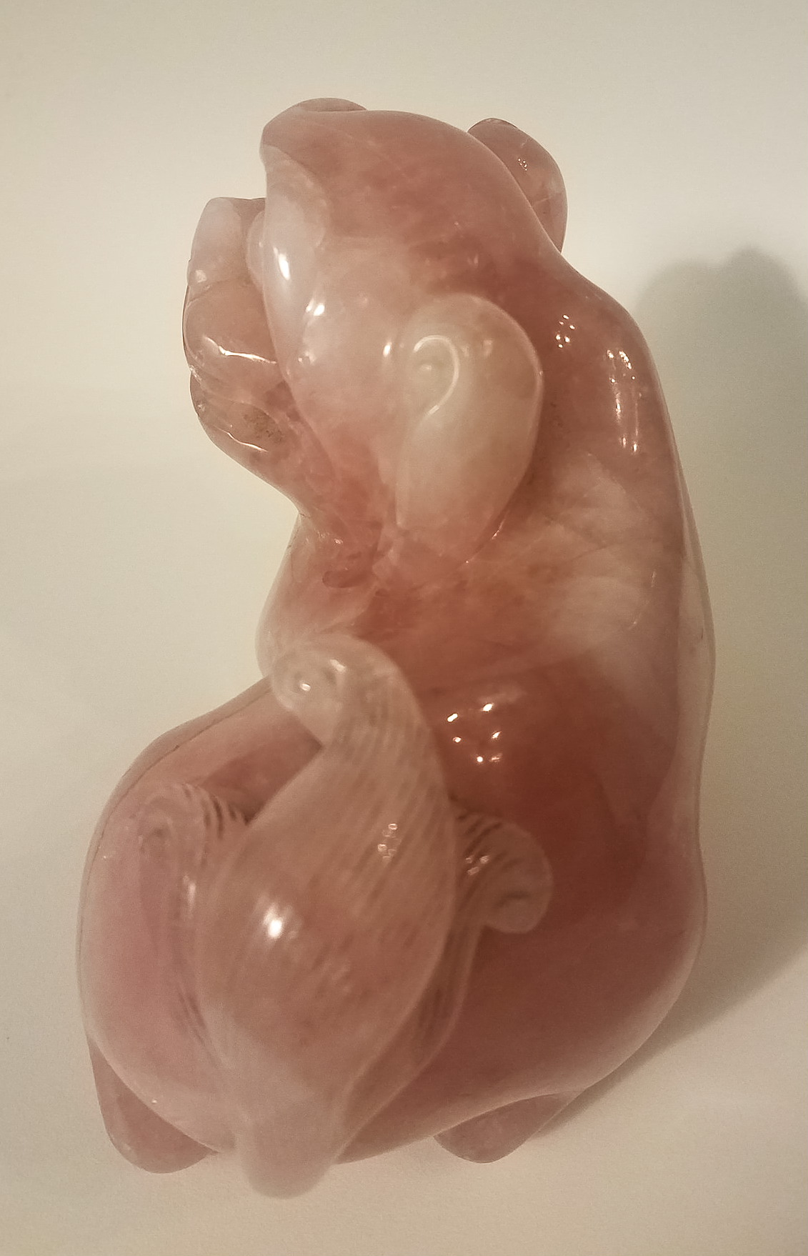 44294454490_50e2fd6e8d_k (1)dev.jpg