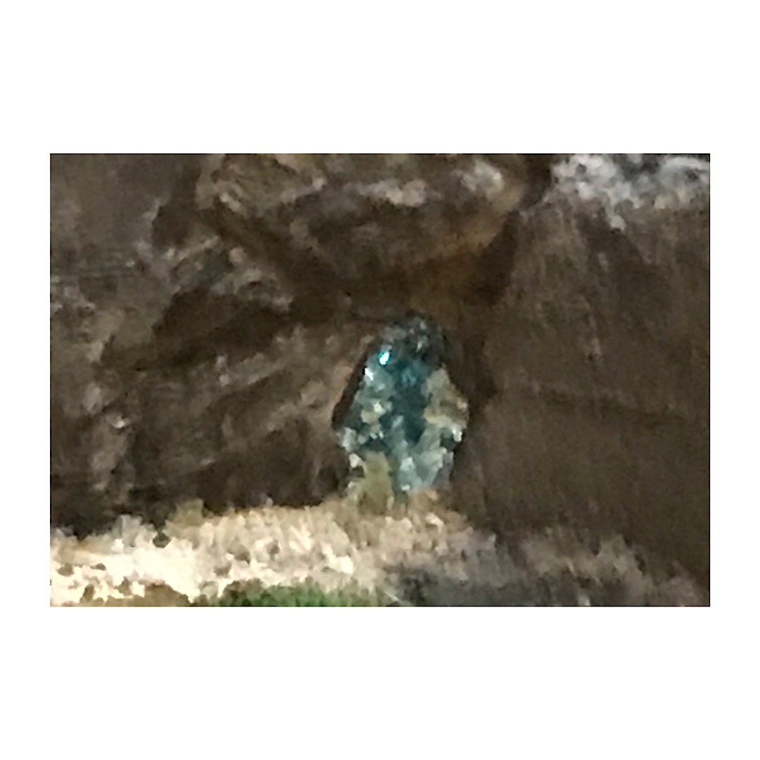 7AD0D359-27F5-403C-A315-796A59290D51.jpeg