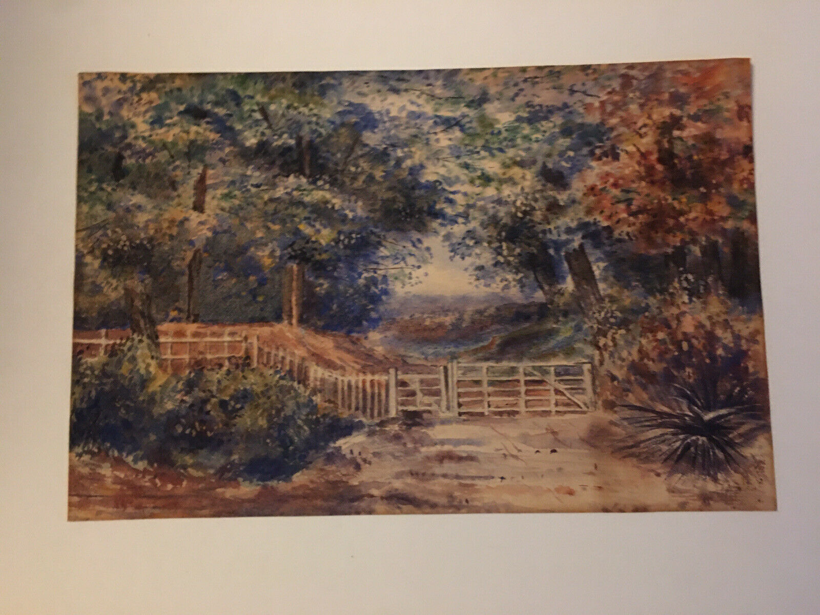 $_57 - 2021-07-29T213315.565.jpg