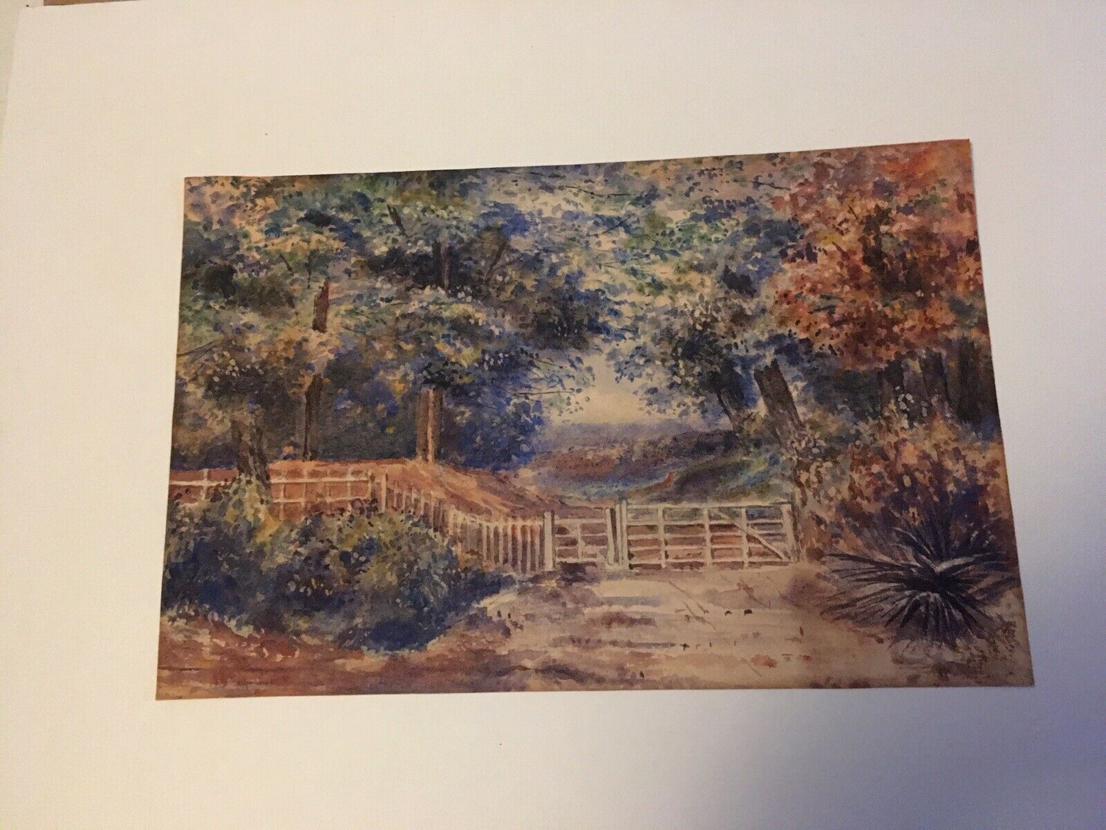 $_57 - 2021-07-29T213335.755.jpg