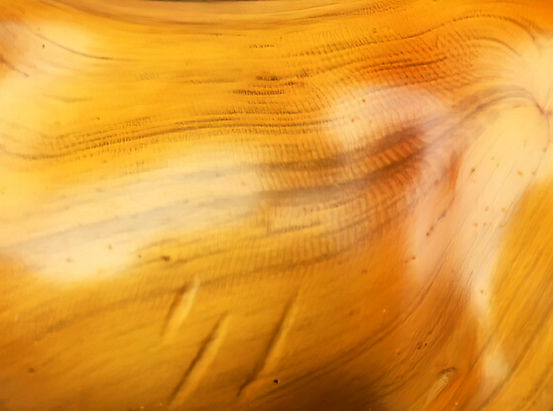 $_57 - 2021-08-19T175626.jpg