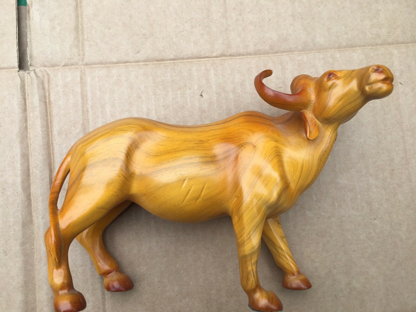 $_57 - 2021-08-19T175643.366.jpg