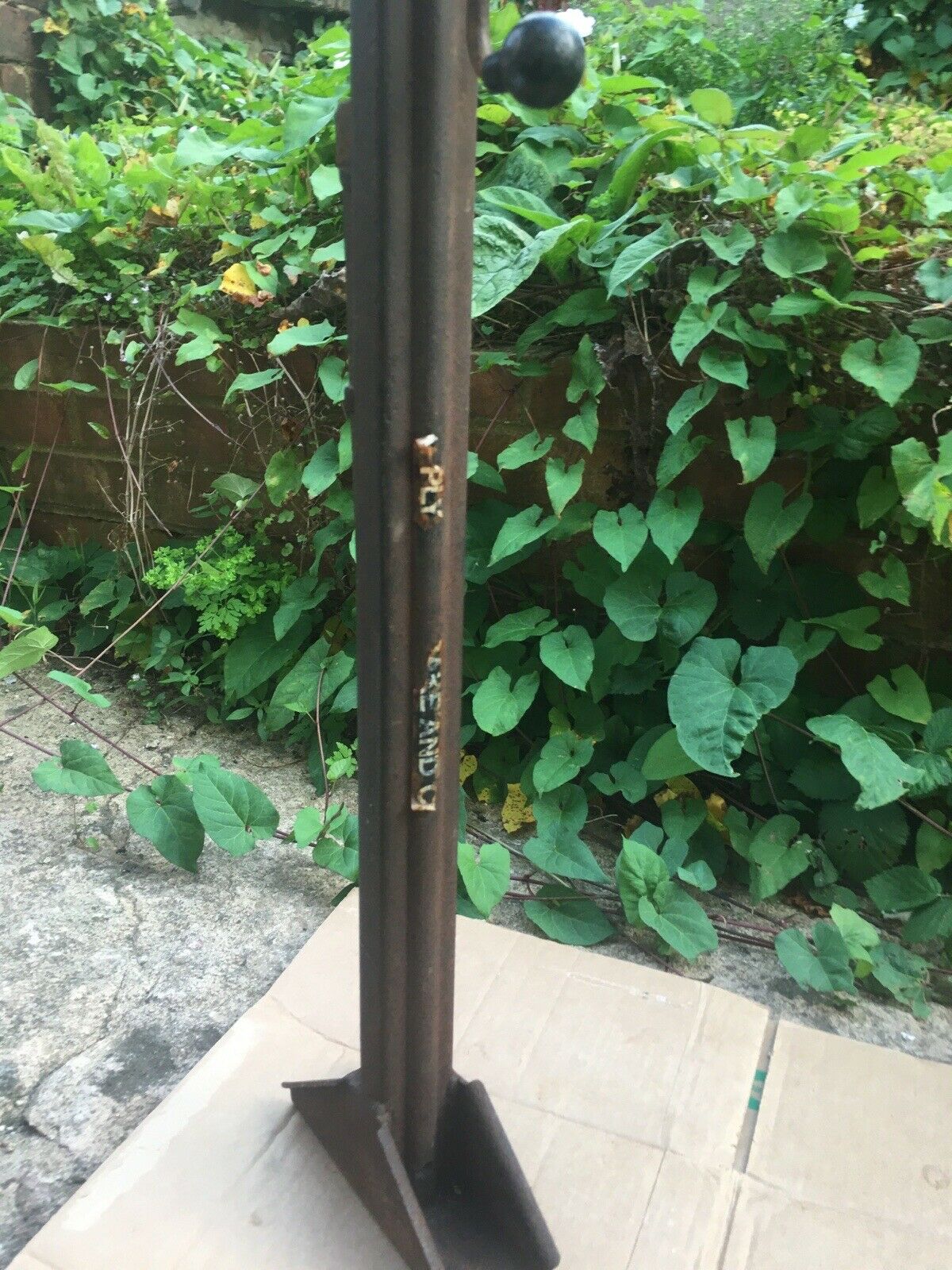 $_57 - 2021-08-23T135222.481.jpg