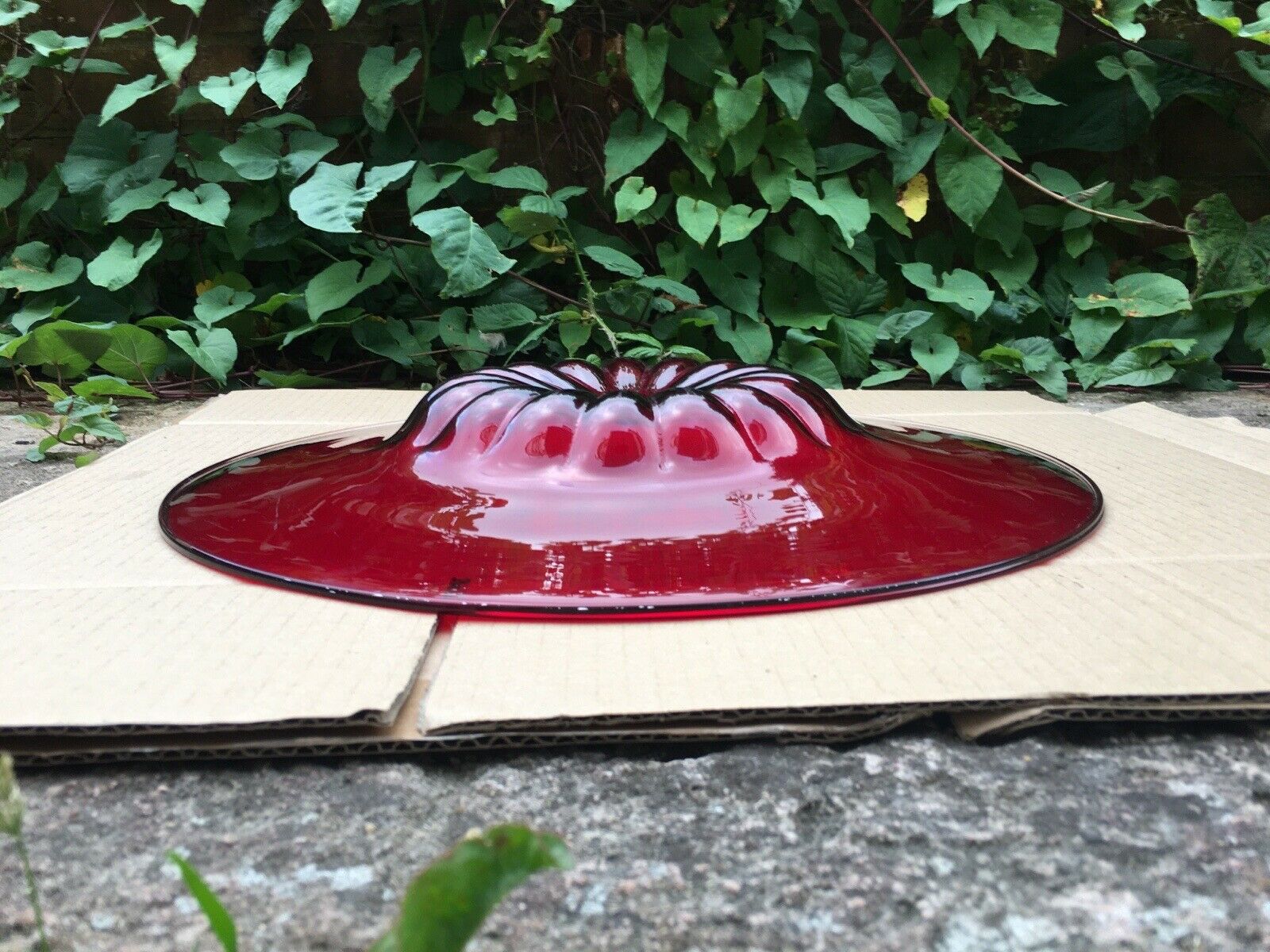 $_57 - 2021-08-24T134529.002.jpg