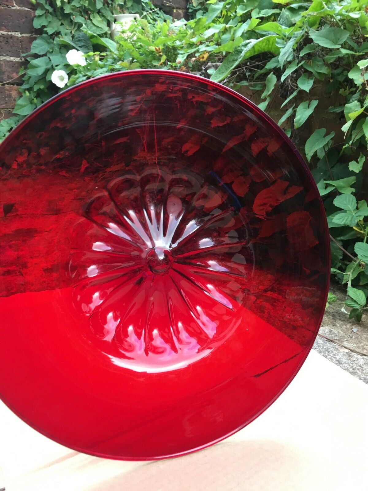 $_57 - 2021-08-24T134609.006.jpg