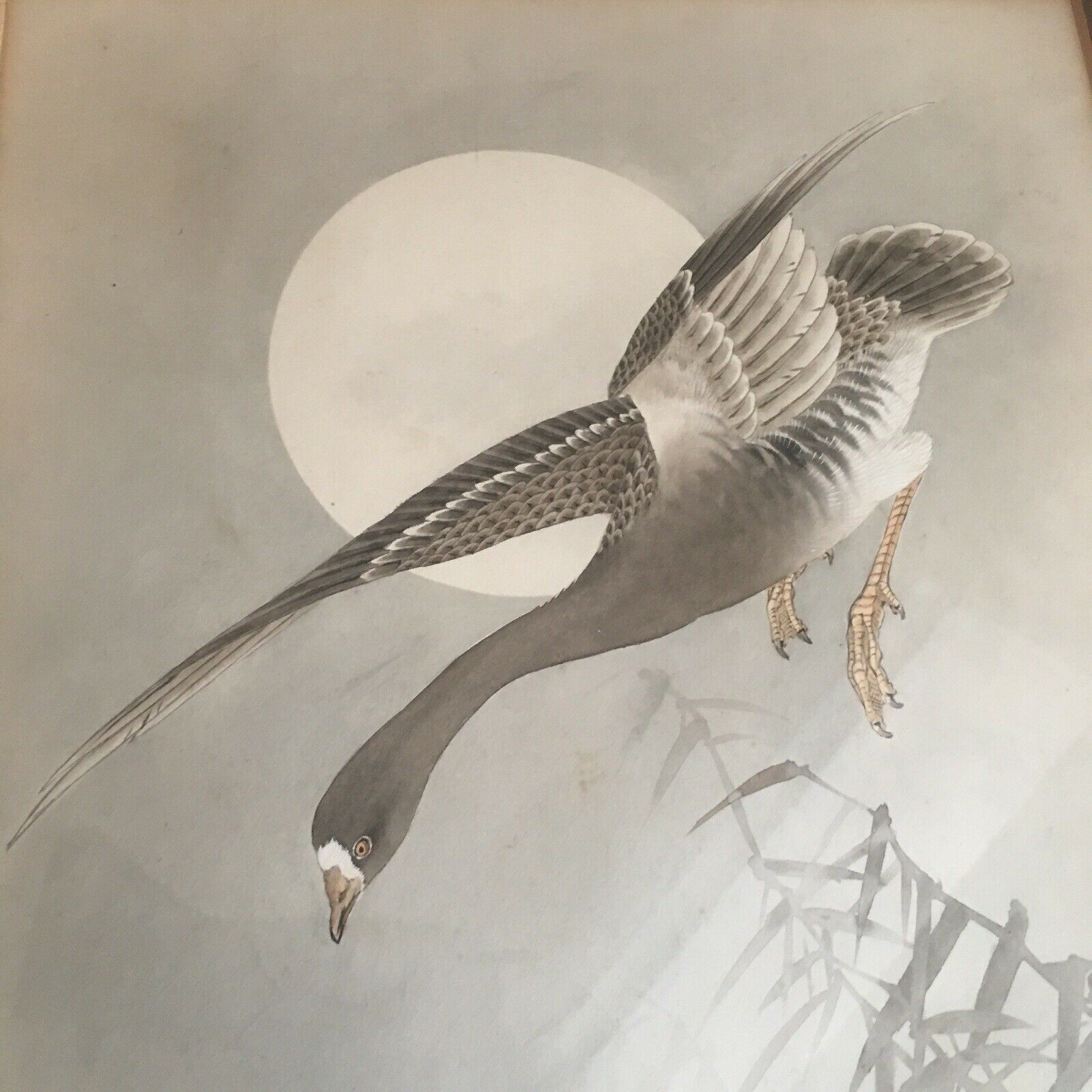 $_57 - 2021-12-08T124138.937.jpg