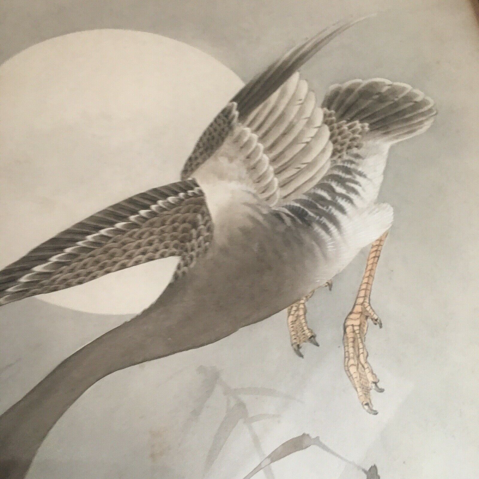 $_57 - 2021-12-08T124239.302.jpg