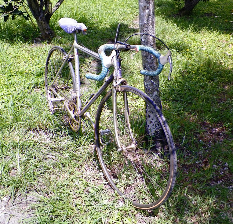 AA BICYCLE COLNAGO 1A_AA.jpg