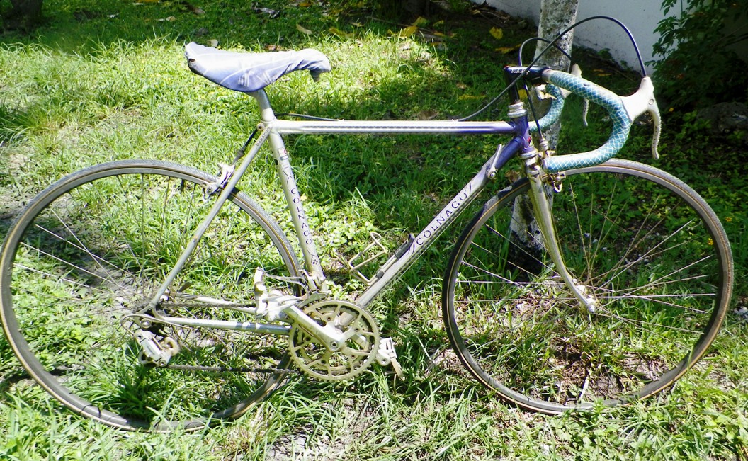 AA BICYCLE COLNAGO 1AA.jpg
