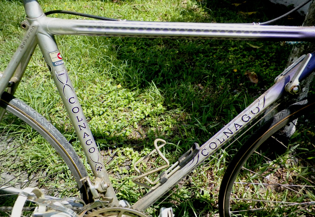 AA BICYCLE COLNAGO 2AA.jpg