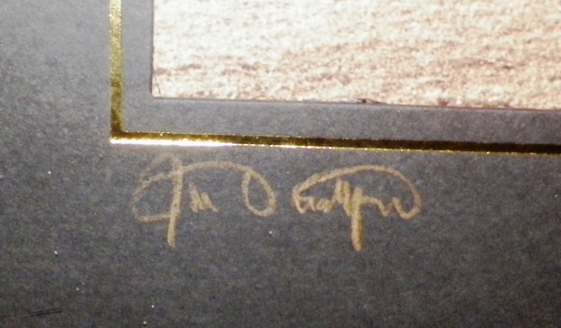 AA EBAY NEW A ART PHOTOGRAPH HORSES SIGNED 5AA.jpg