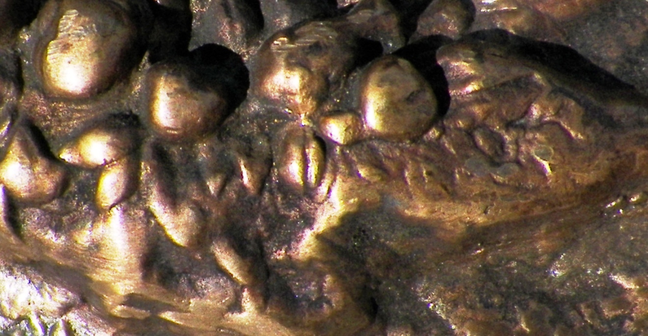 AA EBAY NEW A ART PLATE BRONZE ADAM & EVE 2AA.jpg