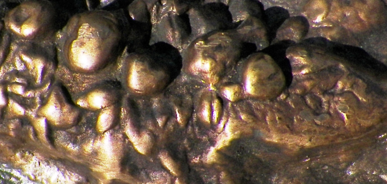 AA EBAY NEW A ART PLATE BRONZE ADAM & EVE 2AAA.jpg