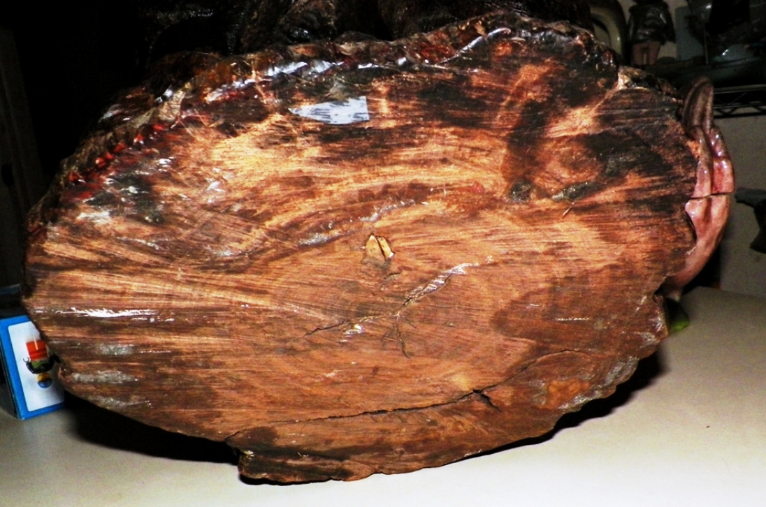 AA EBAY NEW A ART STATUE LIONS FIGHTING 5AA.jpg