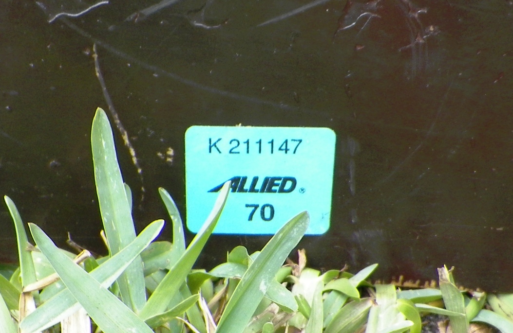 AA EBAY NEW A COLLECTIBLE EBAY EBAY BOAT HALF MODEL TROPAZ 4AAA.jpg