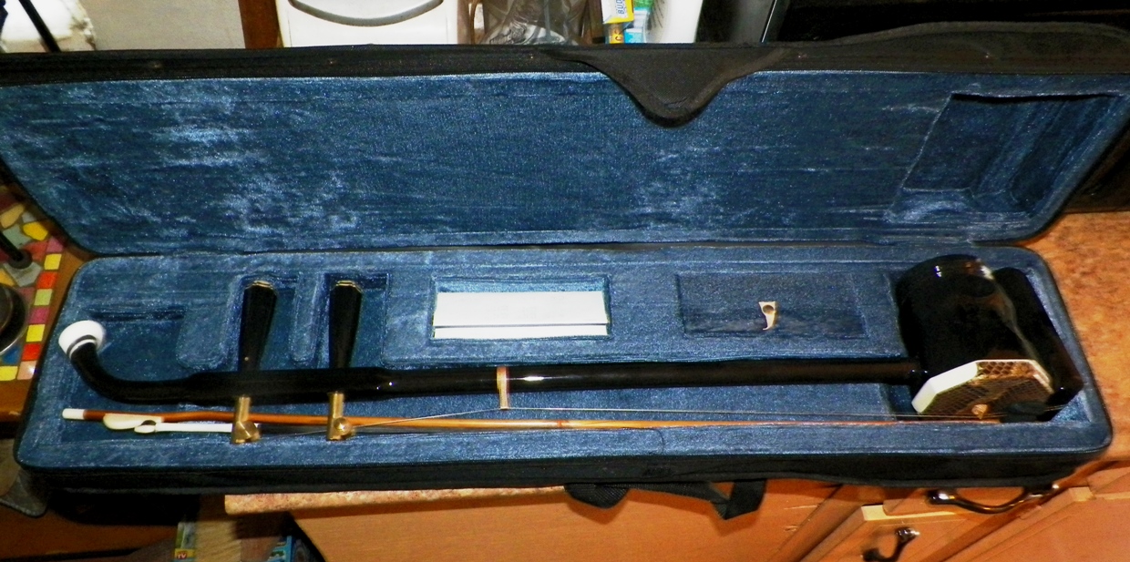 INDIA? STRINGED INSTRUMENT WHAT DID I FIND? Antiques Board