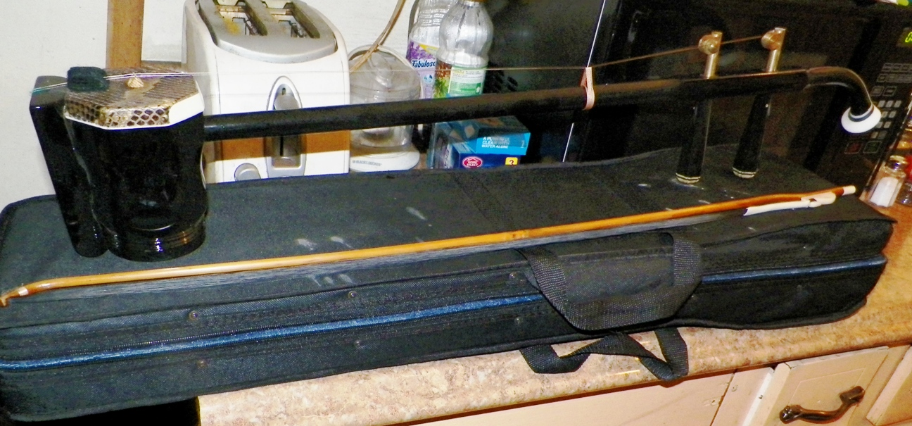 INDIA? STRINGED INSTRUMENT WHAT DID I FIND? Antiques Board