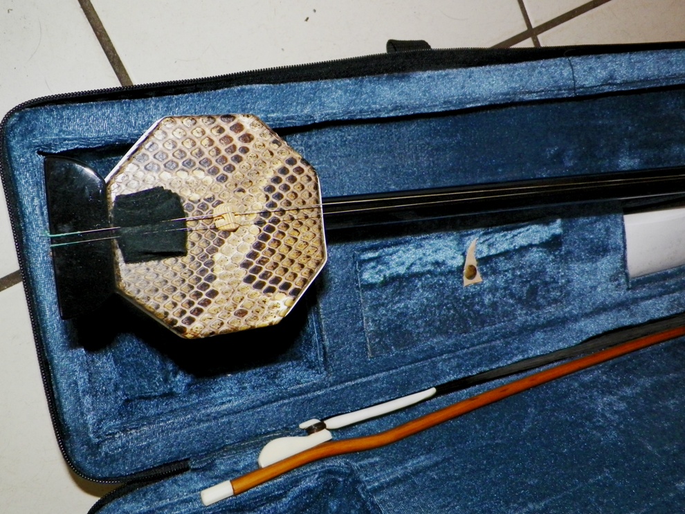AA EBAY NEW A COLLECTIBLE EBAY EBAY MUSIC INDIA INSTRUMENT 7AA.jpg
