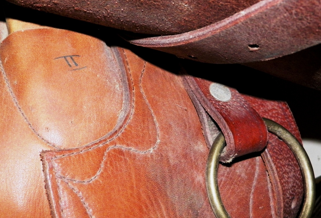 AA EBAY NEW A COLLECTIBLE EBAY SADDLE 1CAAA.jpg