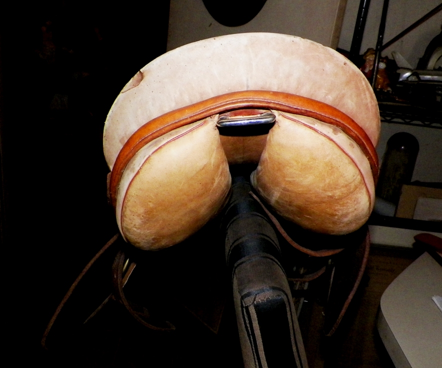 AA EBAY NEW A COLLECTIBLE EBAY SADDLE 5AA.jpg