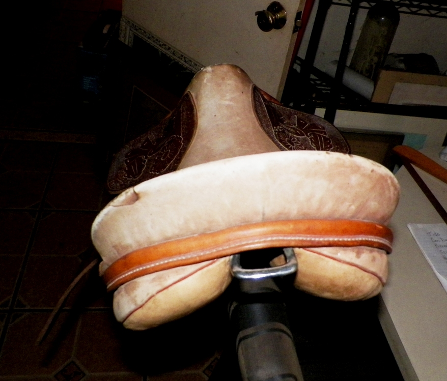 AA EBAY NEW A COLLECTIBLE EBAY SADDLE 5AAA.jpg