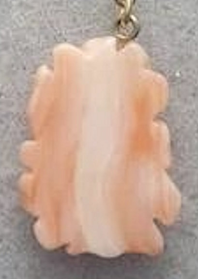 Angelskin coral rose 1B.jpg