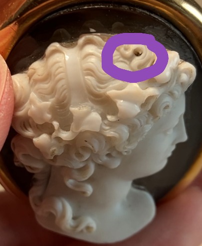 Ariadne Nick circled.JPG