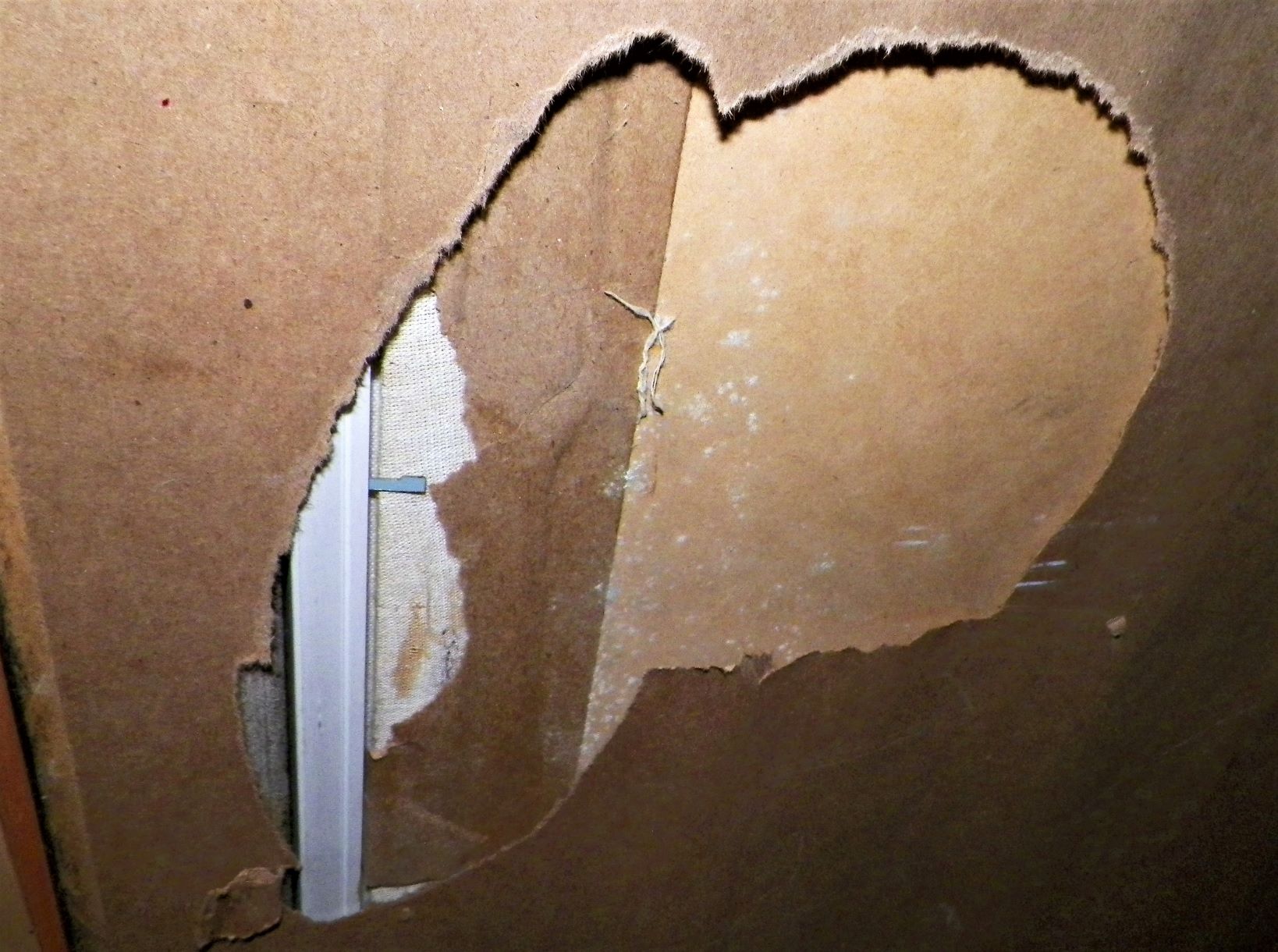 ART PAINTING HANDS LARGE 4AA.JPG