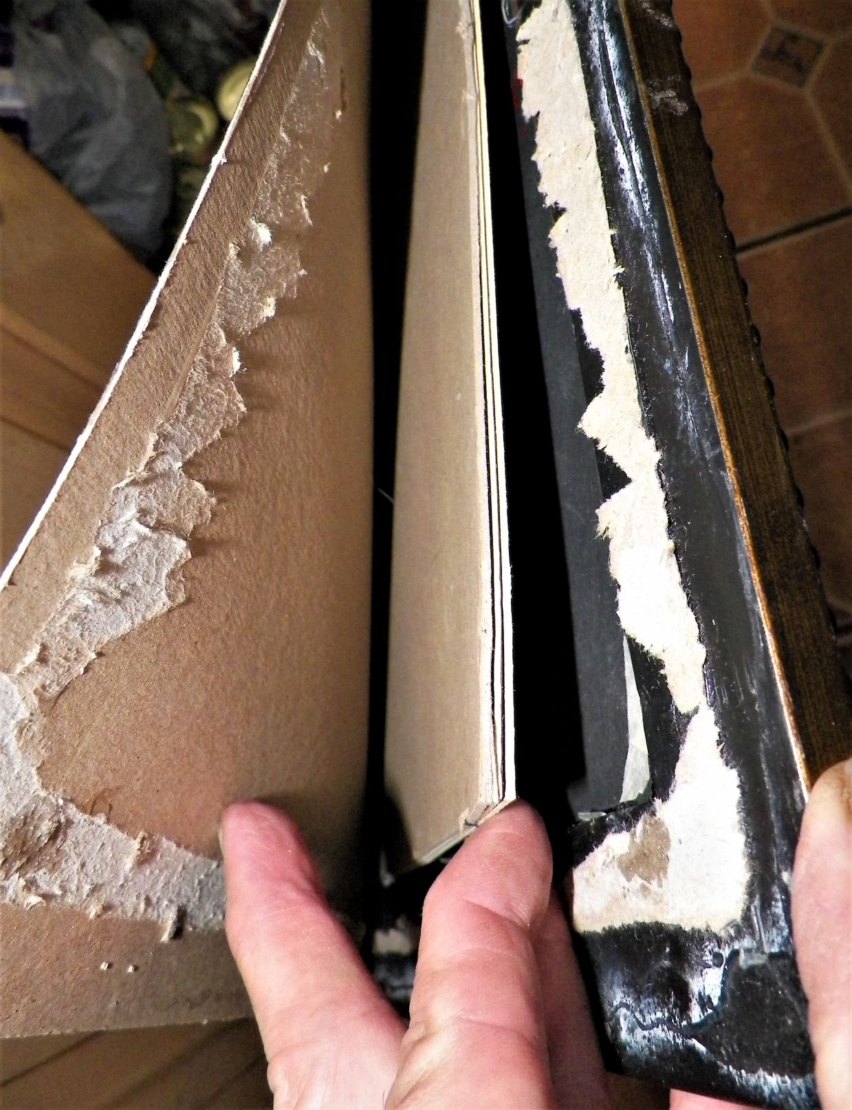 ART PAINTING JASPER JOHNS 6AA.JPG