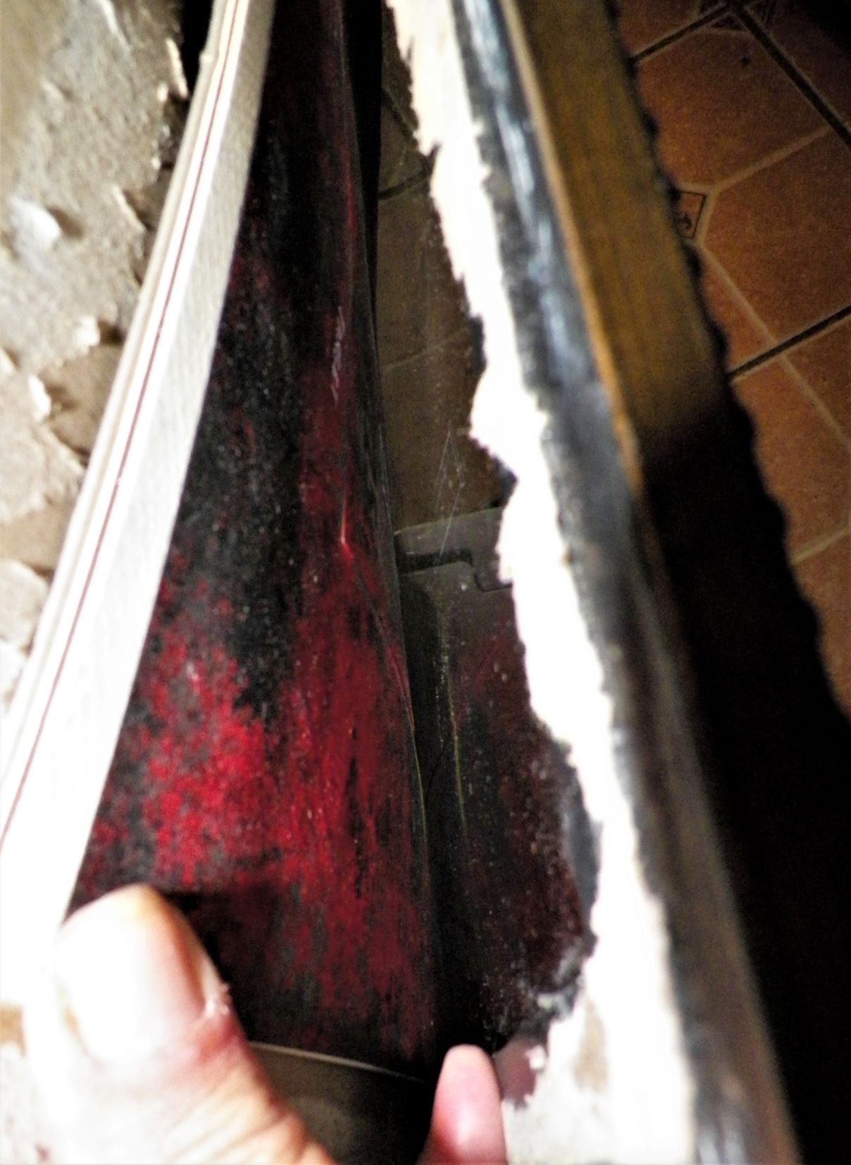 ART PAINTING JASPER JOHNS 6AAA.JPG