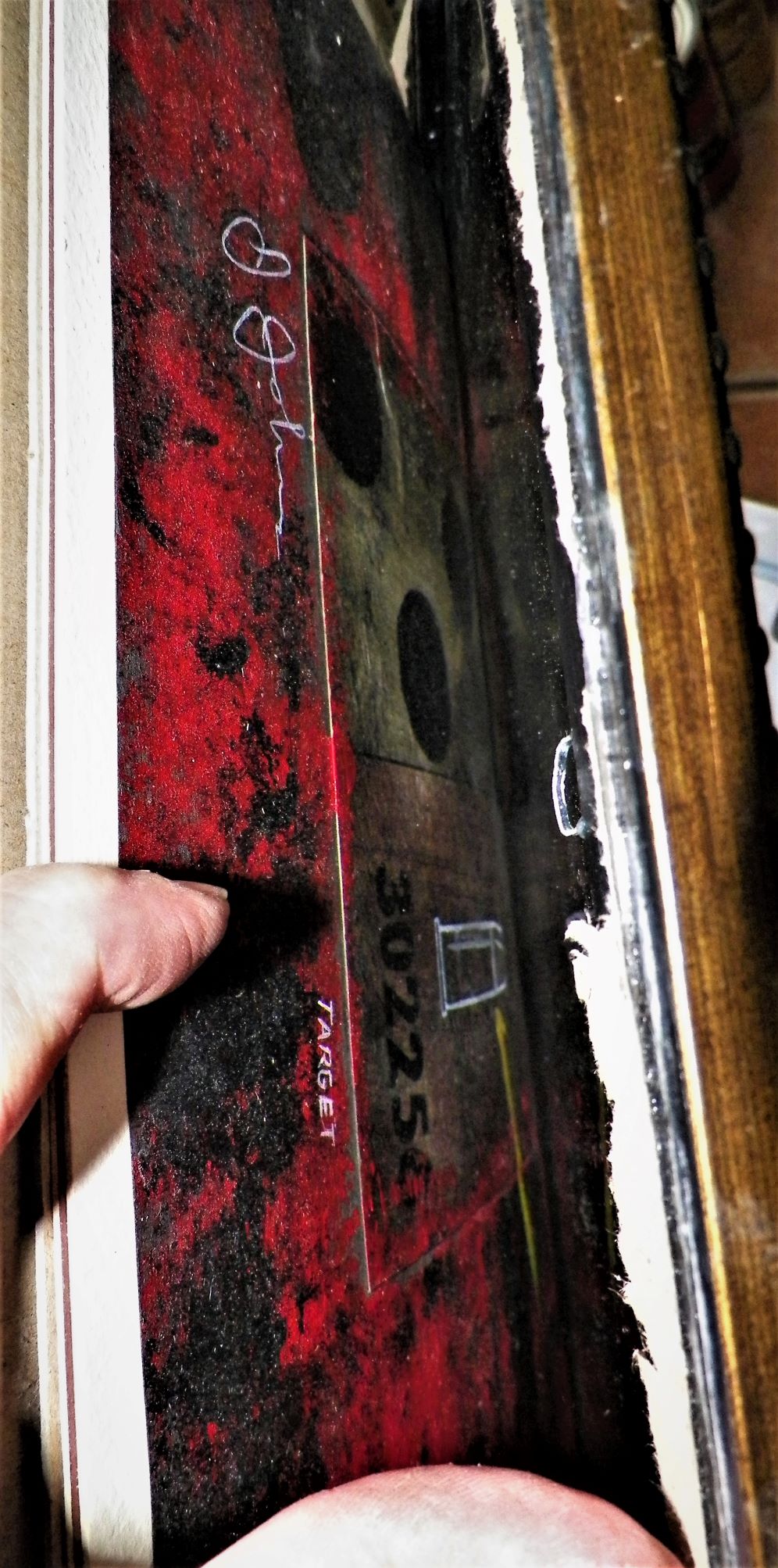 ART PAINTING JASPER JOHNS 6BAA.JPG