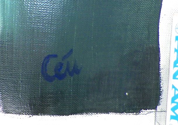 ART PAINTING THRUFT FIND UNFRAMED CETI 2AA.JPG