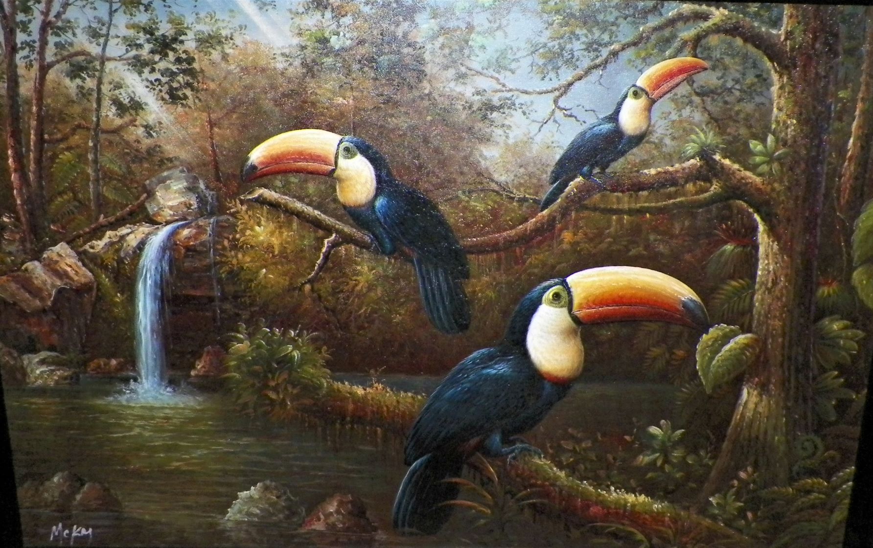 ART PAINTING TOUCANS McKay 2AAA.JPG
