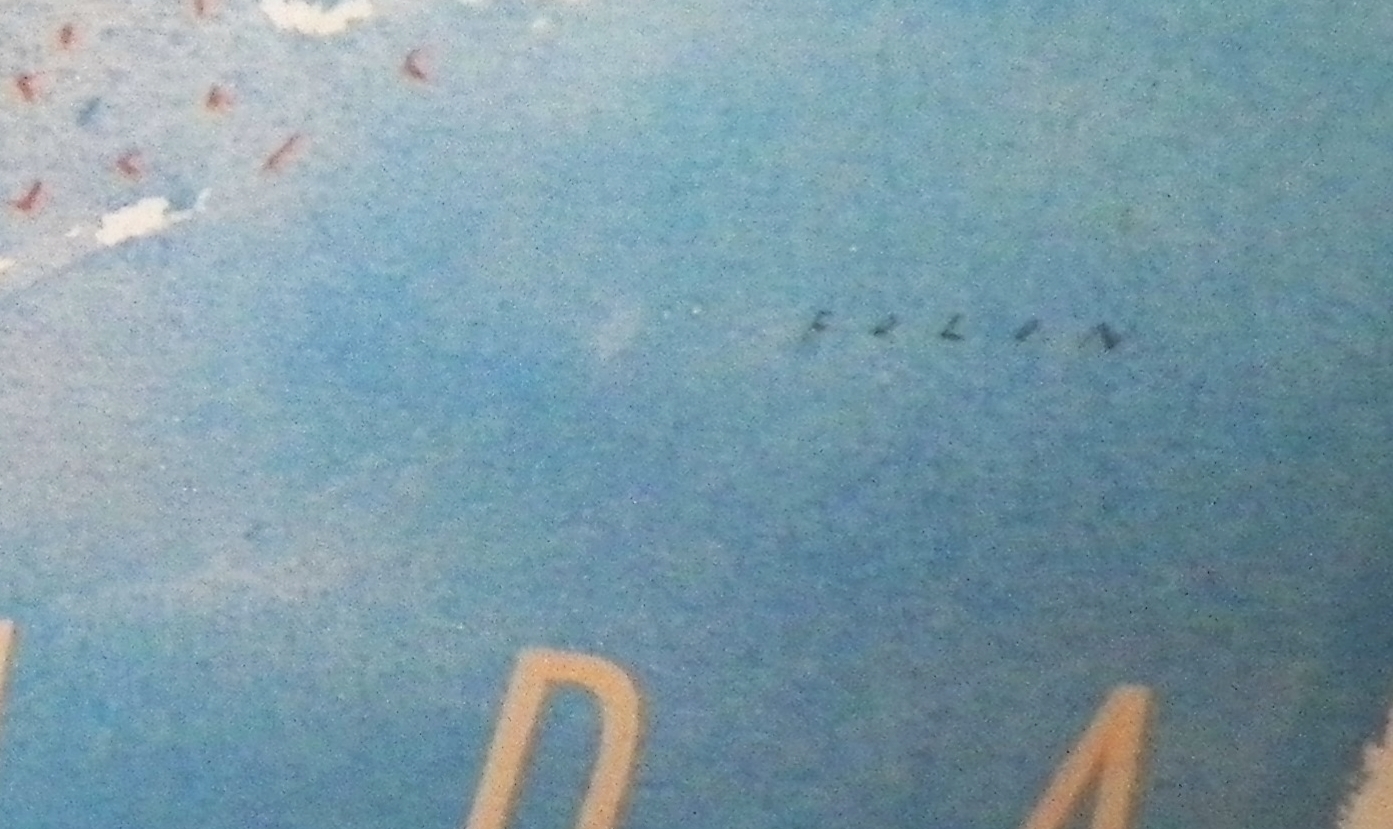 ART POSTER FLORIDA FOLON 3AAA CLOSE UP AA.JPG