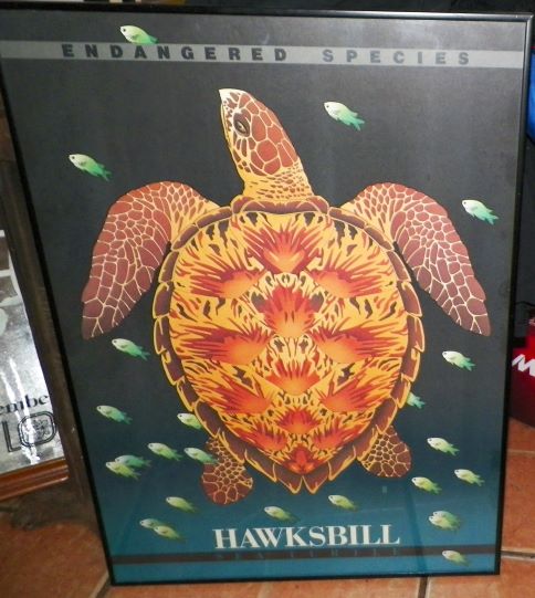 ART POSTER SEAHAWK TURTLE ENDANGERED SPECIES 1AA.JPG