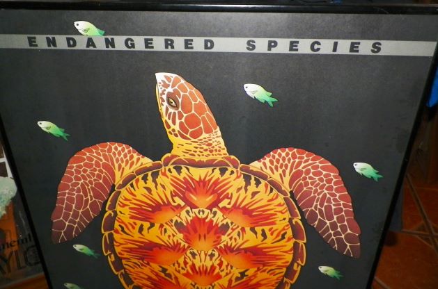 ART POSTER SEAHAWK TURTLE ENDANGERED SPECIES 2AA.JPG