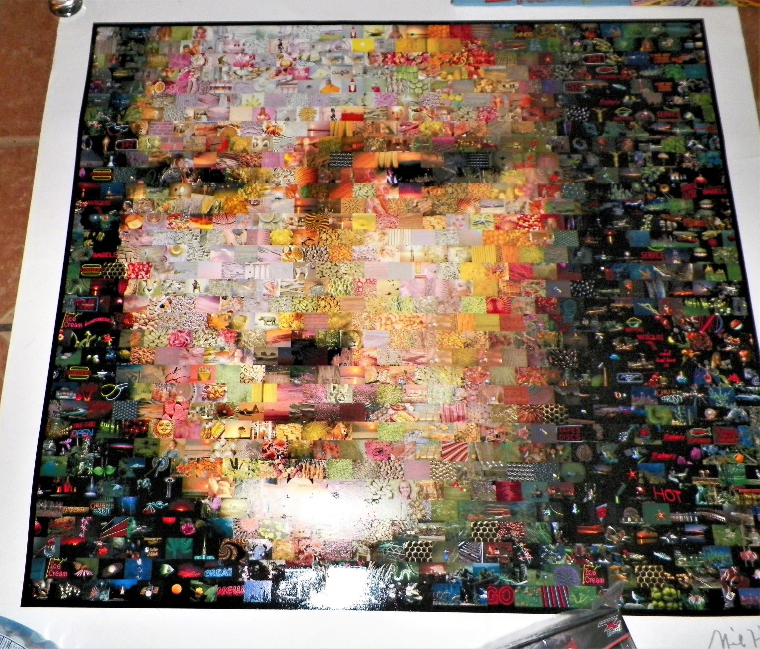 ART POSTER THRIFT STORE 1 MONA LISA LITTLE PICTURES 1AA.JPG