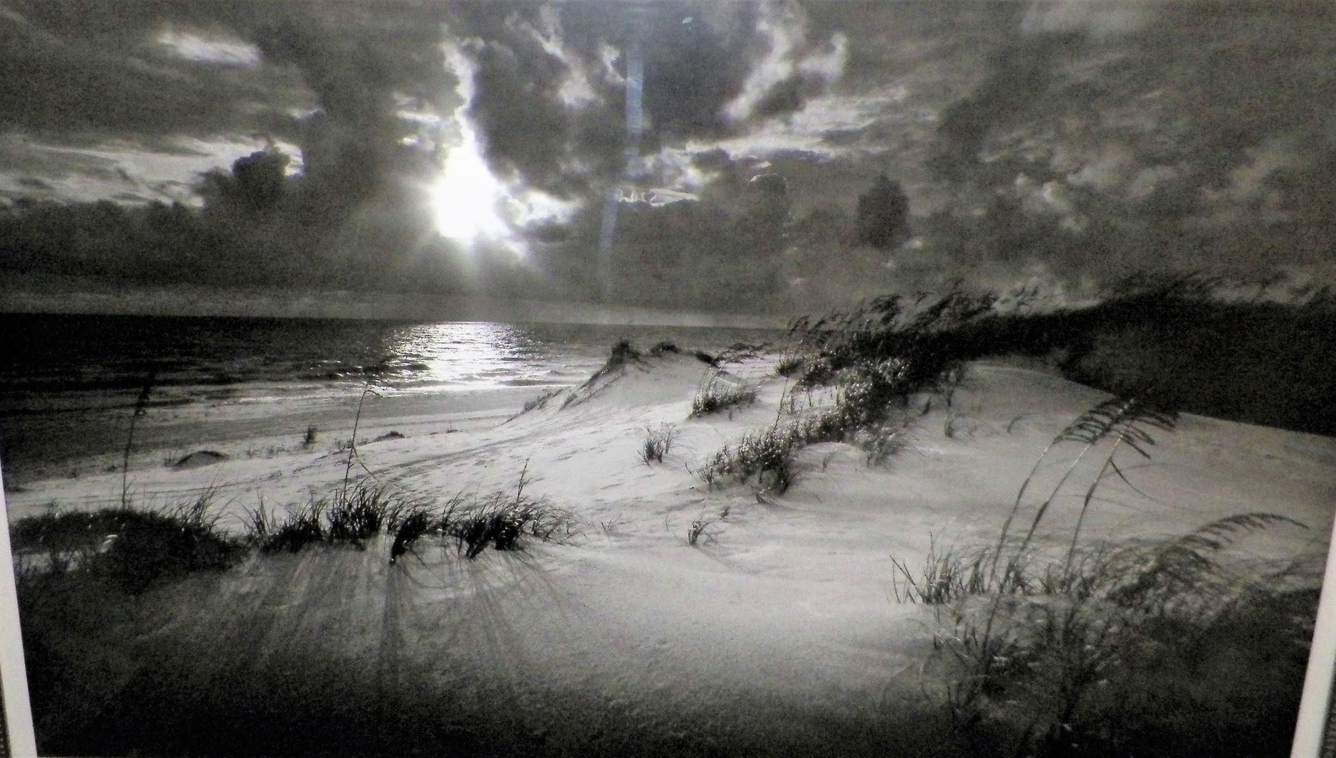 ART PRINT CLYDE BUTCHER PHOTOGRAPH DUNES PORT ST JOSEPH 2AAA.JPG