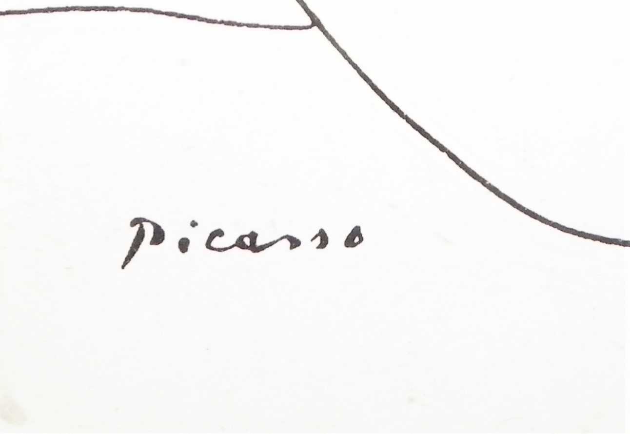 ART PRINT PICASSO BIRD SMALL FRAMED 3AA.JPG